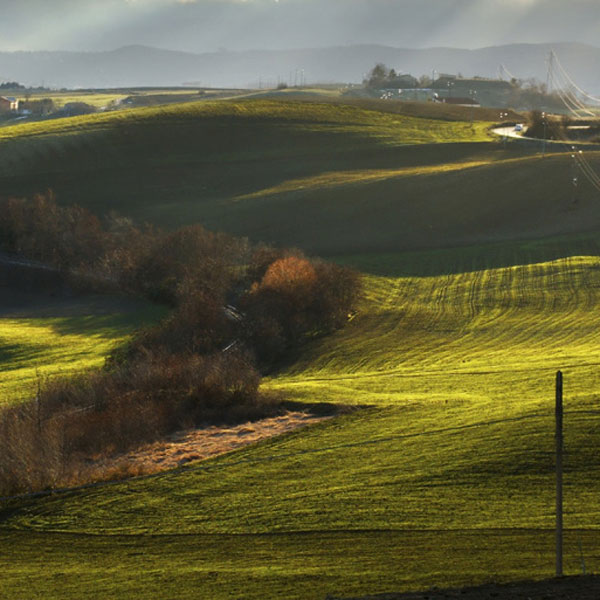 Molise