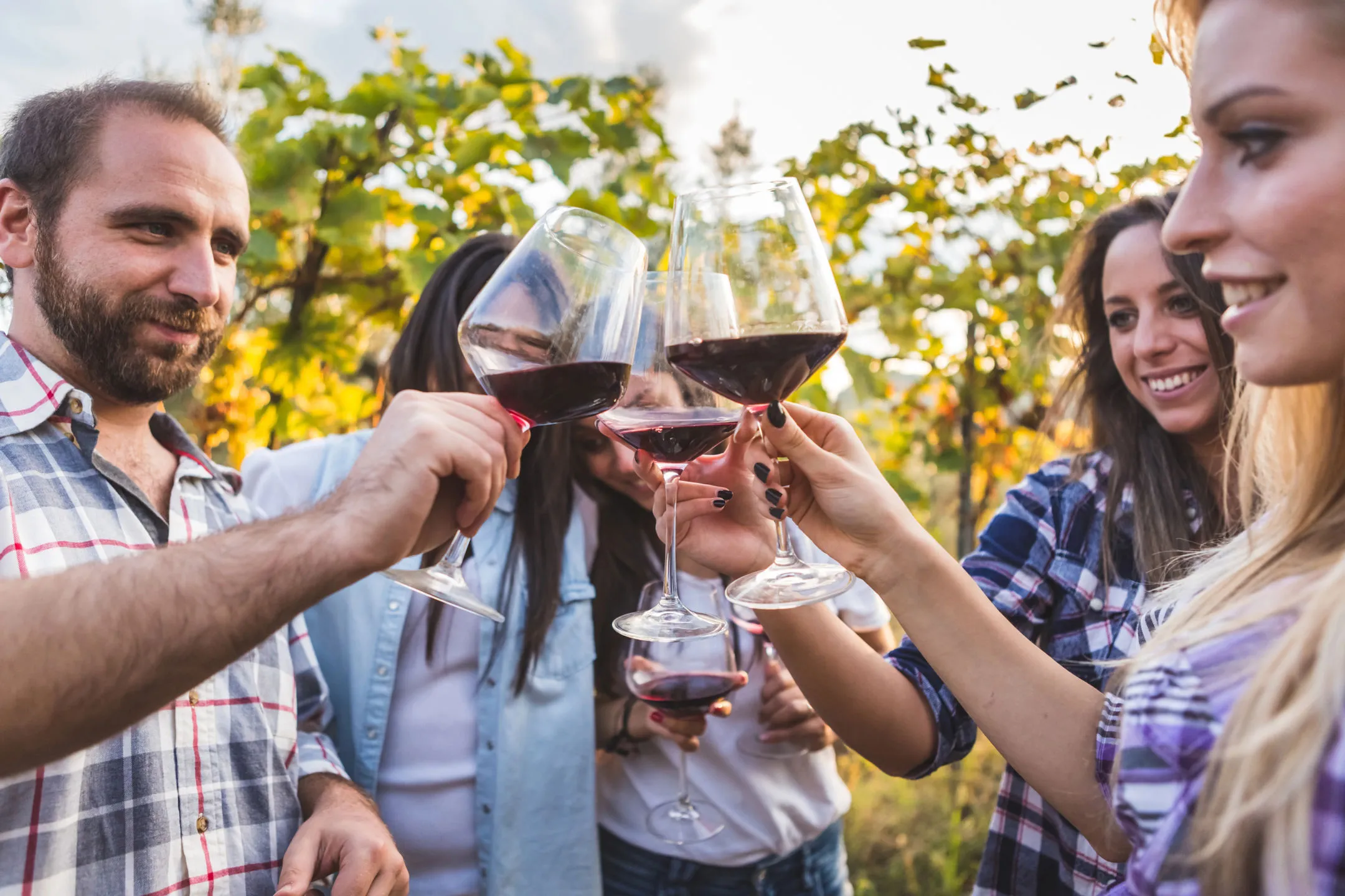 Immagine sfondo sezione header Prenota la tua degustazione in cantina
