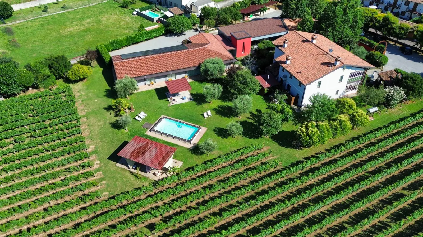 Franciacorta Brut SA Dosaggio Zero DOCG – Image 13