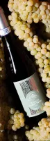 Piemonte DOC Chardonnay Piemonte DOC Chardonnay