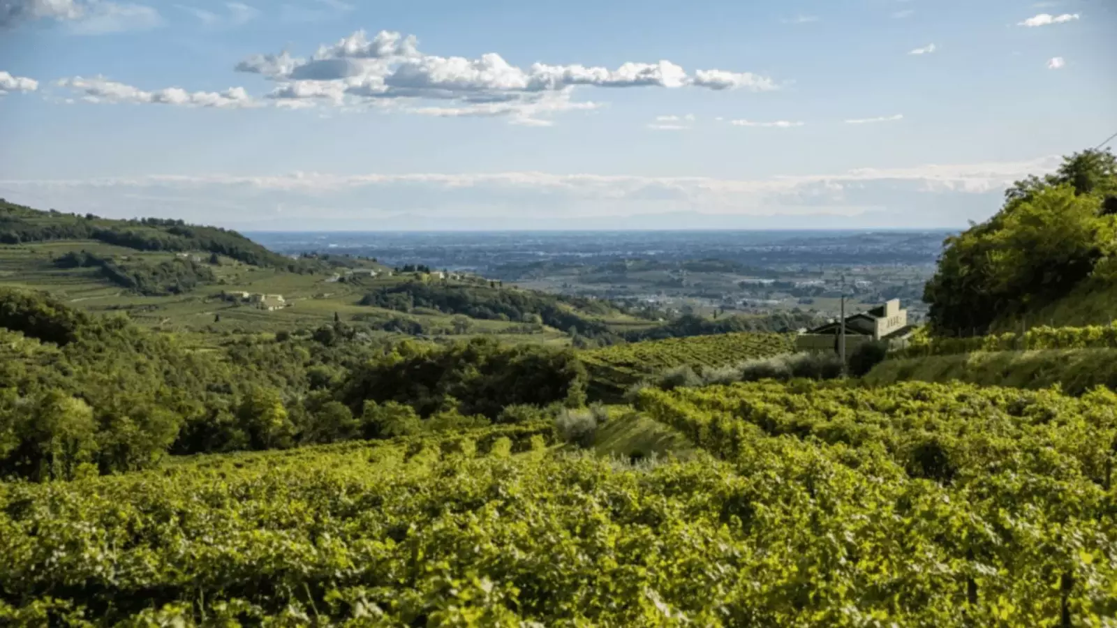 WINETOUR - 6 WEINE – Bild 2