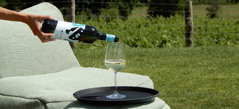 Immagine paesaggio tipovisita Wine experience