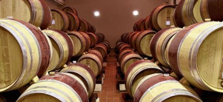 Immagine visita I vini di Còlpetrone
