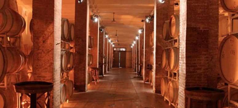 Immagine visita Cellar  wine tour