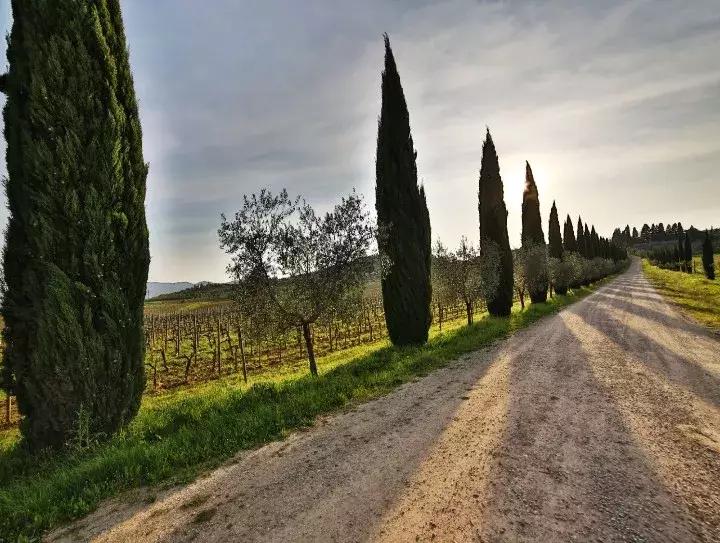 Fattoria Pagnana – Image 1