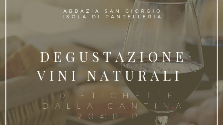 immagine visita Degustazione vini naturali