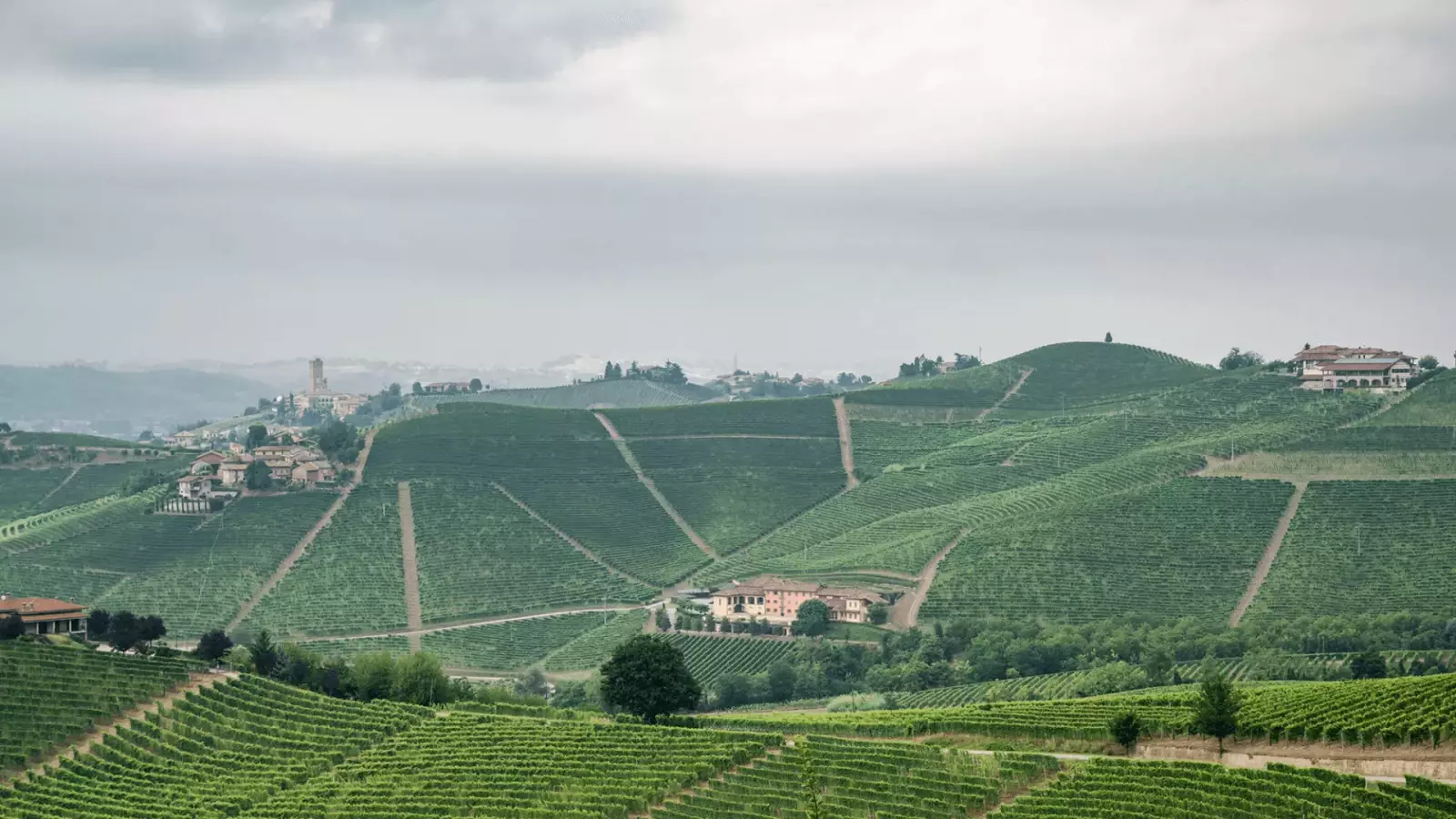 Cantina Bera – Immagine 1