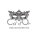 Logo cantina CA' D'OR