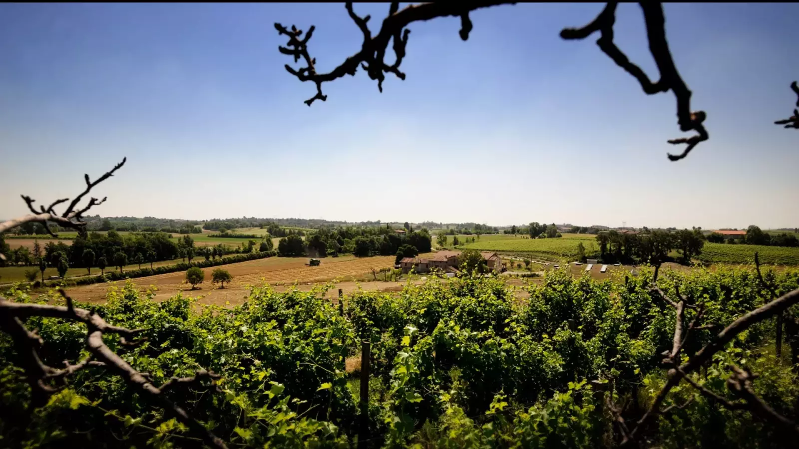 Cantina Cobue – Immagine 1