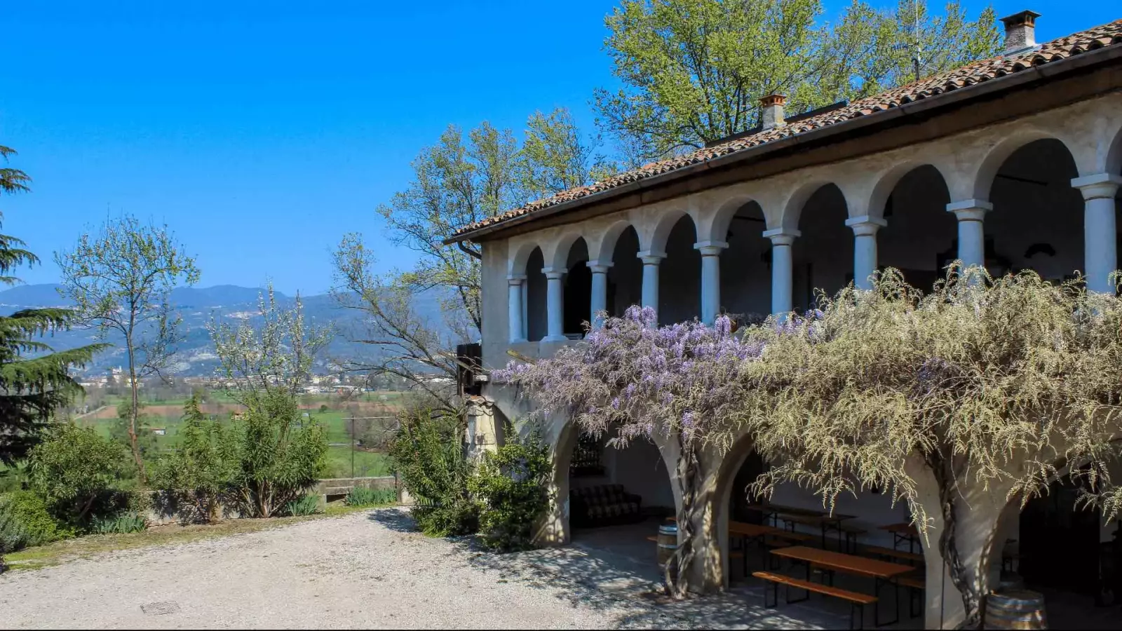 Immagine cantina cantina pasini la torre