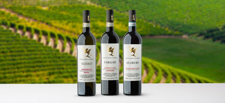Immagine paesaggio tipovisita I vini del Monferrato