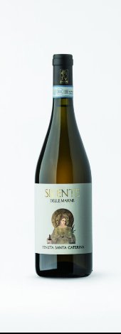 Immagine vino silente delle marnde - monferrato bianco 