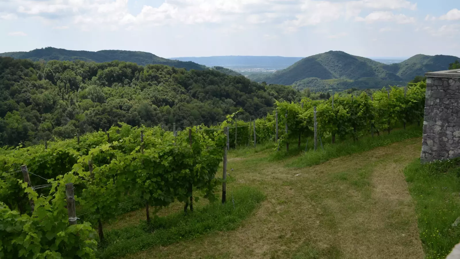 Ein Rotwein im IGT-Land – Bild 2