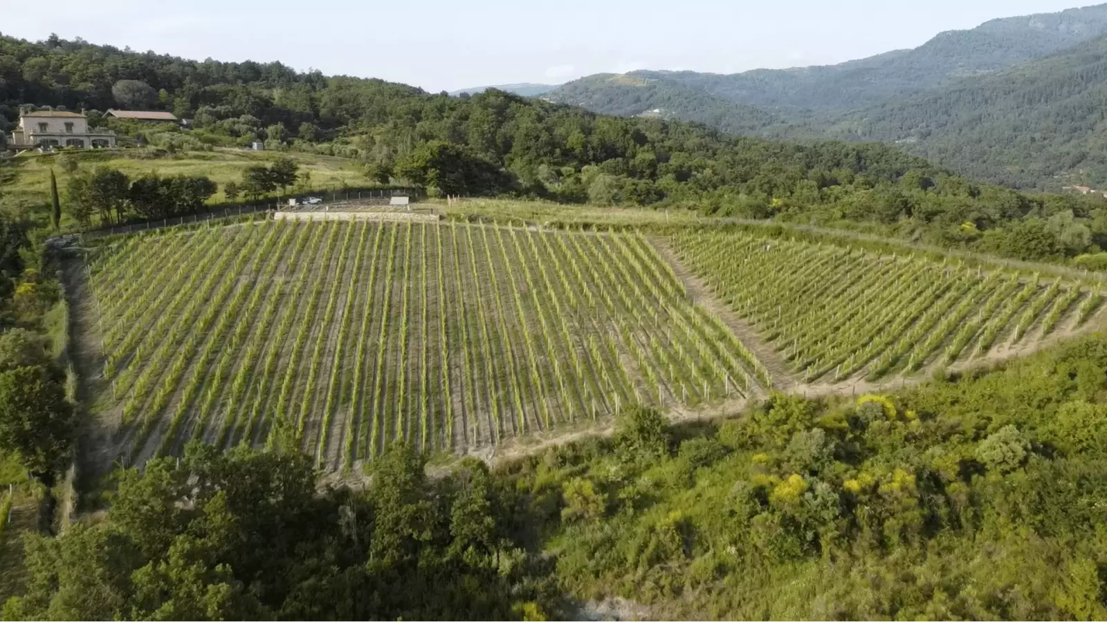 Tenuta Vignanova – Bild 1
