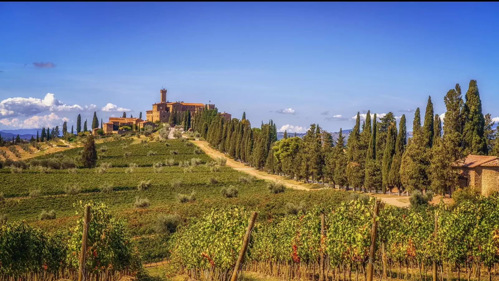 Castello Banfi il Borgo – Image 1