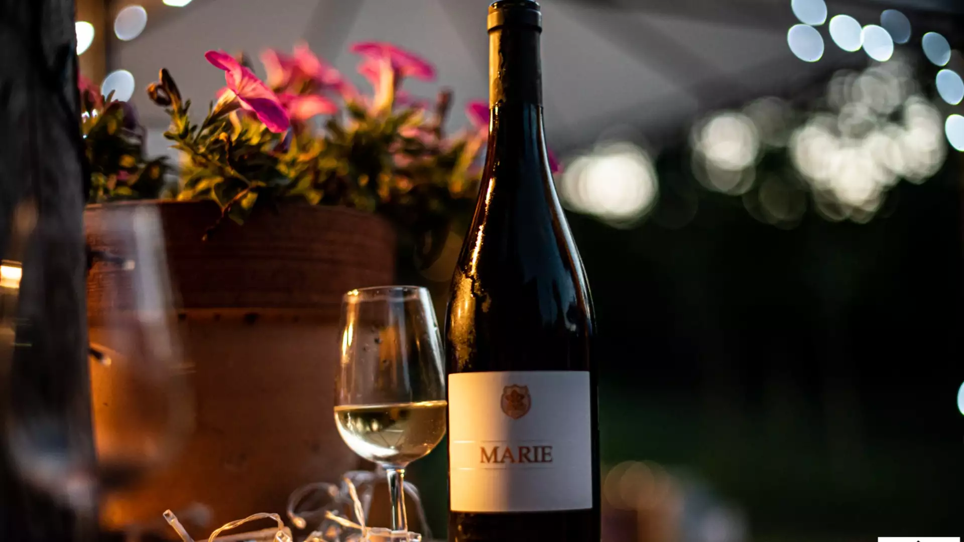 Sax Pinot Nero – Immagine 6