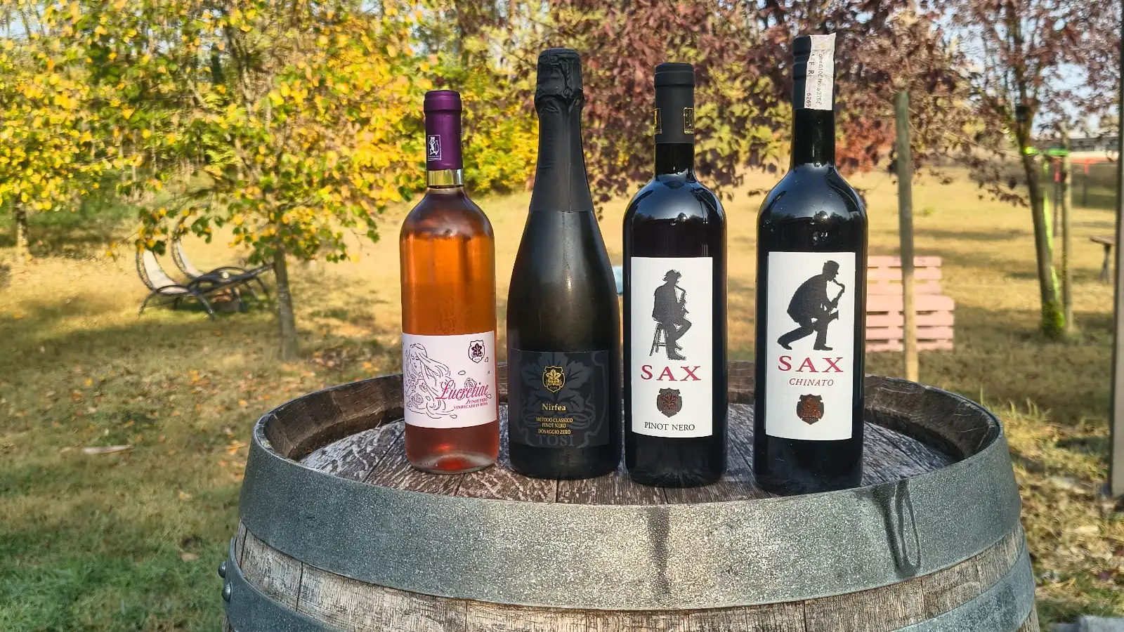 Tutte le sfumature del Pinot Nero presso {{cantina}}