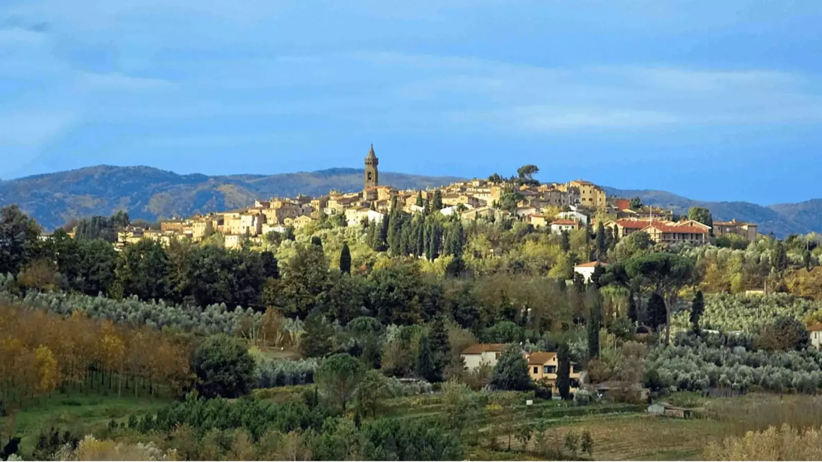 Celso Rosso di Toscana IGT – Immagine 2