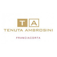 Logo cantina Tenuta Ambrosini