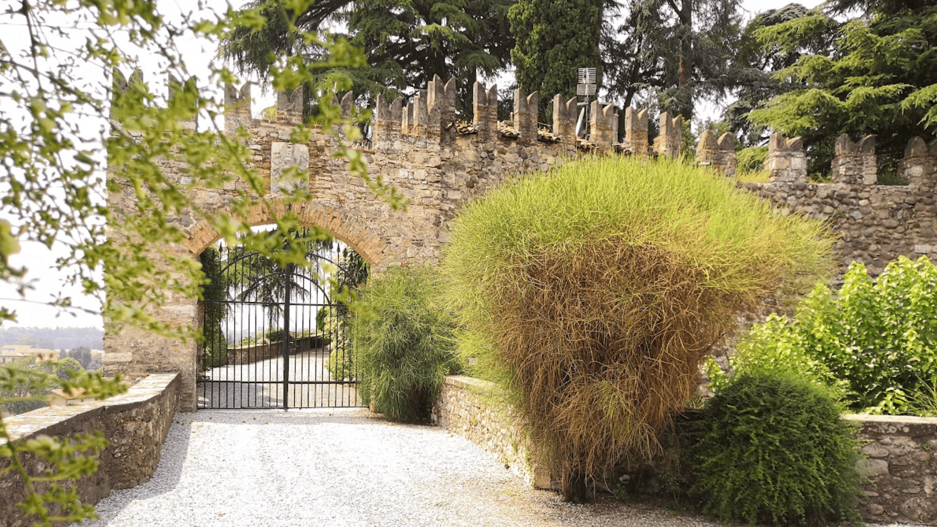 Immagine cantina Tramonto al Castello
