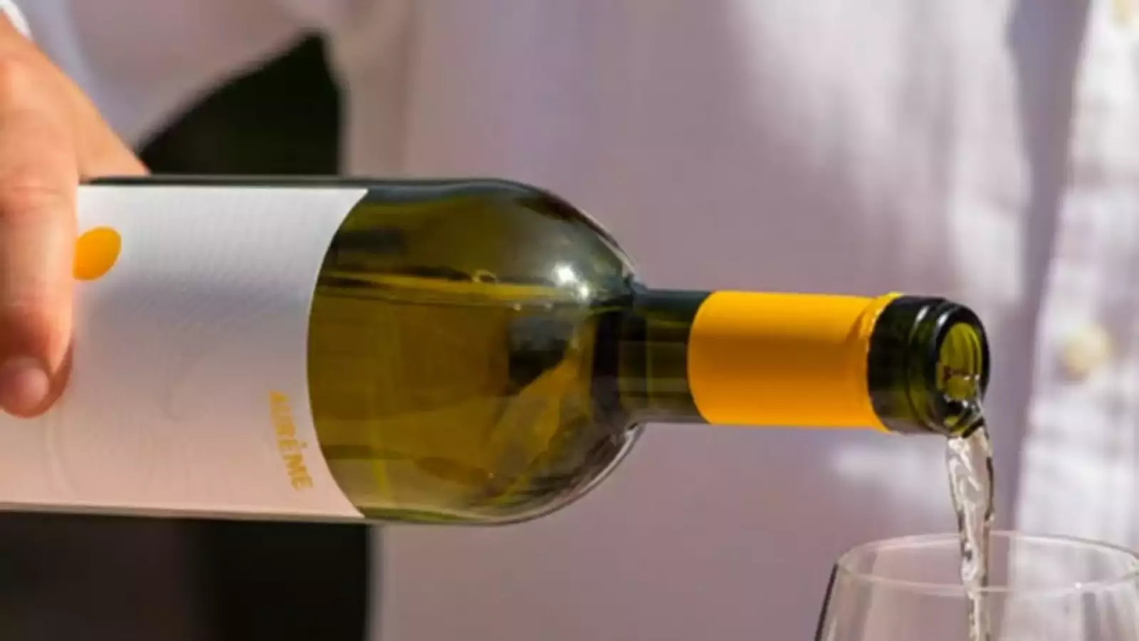 Immagine cantina Crisa Agricola