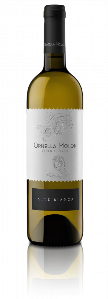 Immagine vino Vite Bianca - IGT Veneto Immagine vino Vite Bianca - IGT Veneto