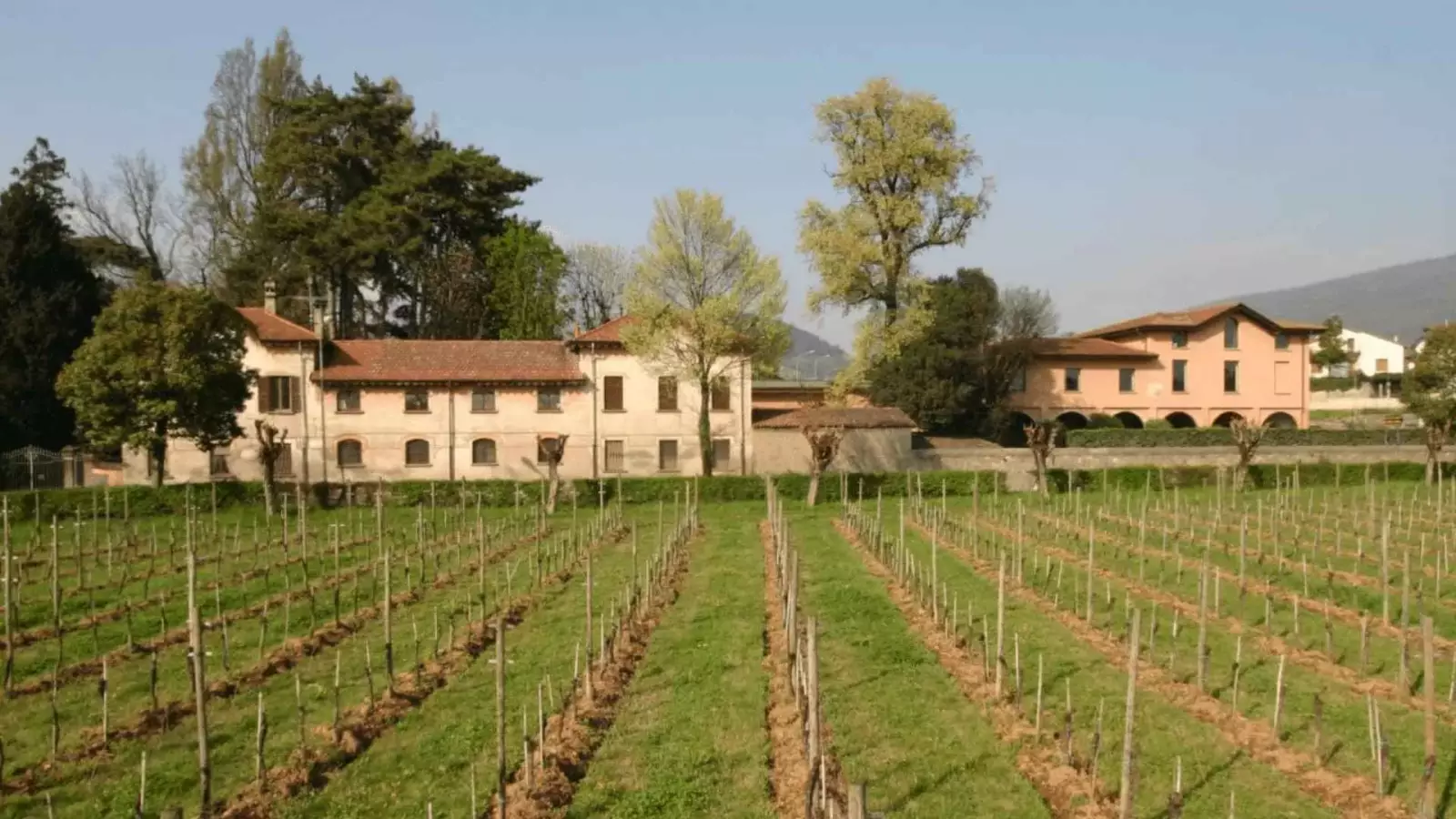 Visita con degustazione - Il Museo – Immagine 2