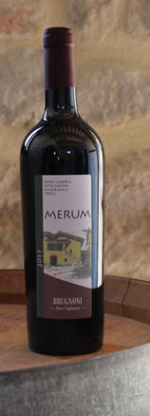 Immagine vino merum (igt umbria rosso)