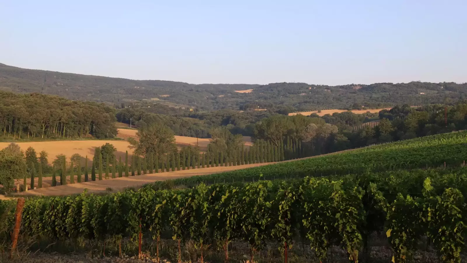 Gli Iconici Tre – Bild 7
