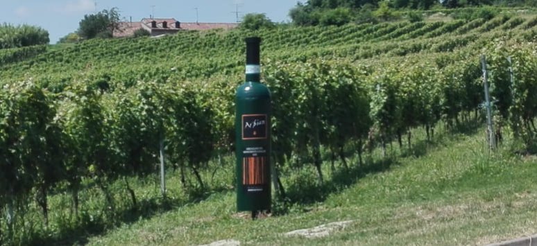 Immagine paesaggio tipovisita Visita vigne, cantina e degustazione 5 vini