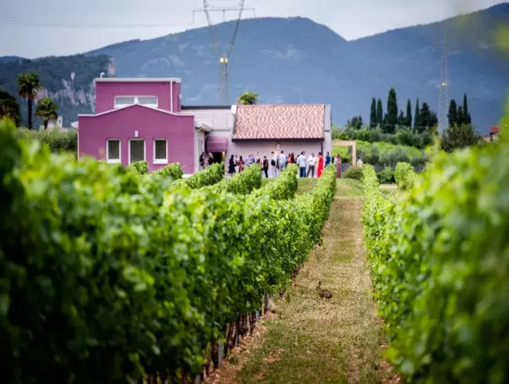 Benazzoli Wine Experience – Immagine 6
