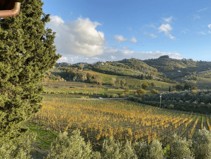 fabrizio pratesi winery