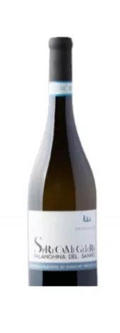 Sprecamugliera Falanghina del Sannio Dop – Immagine 1
