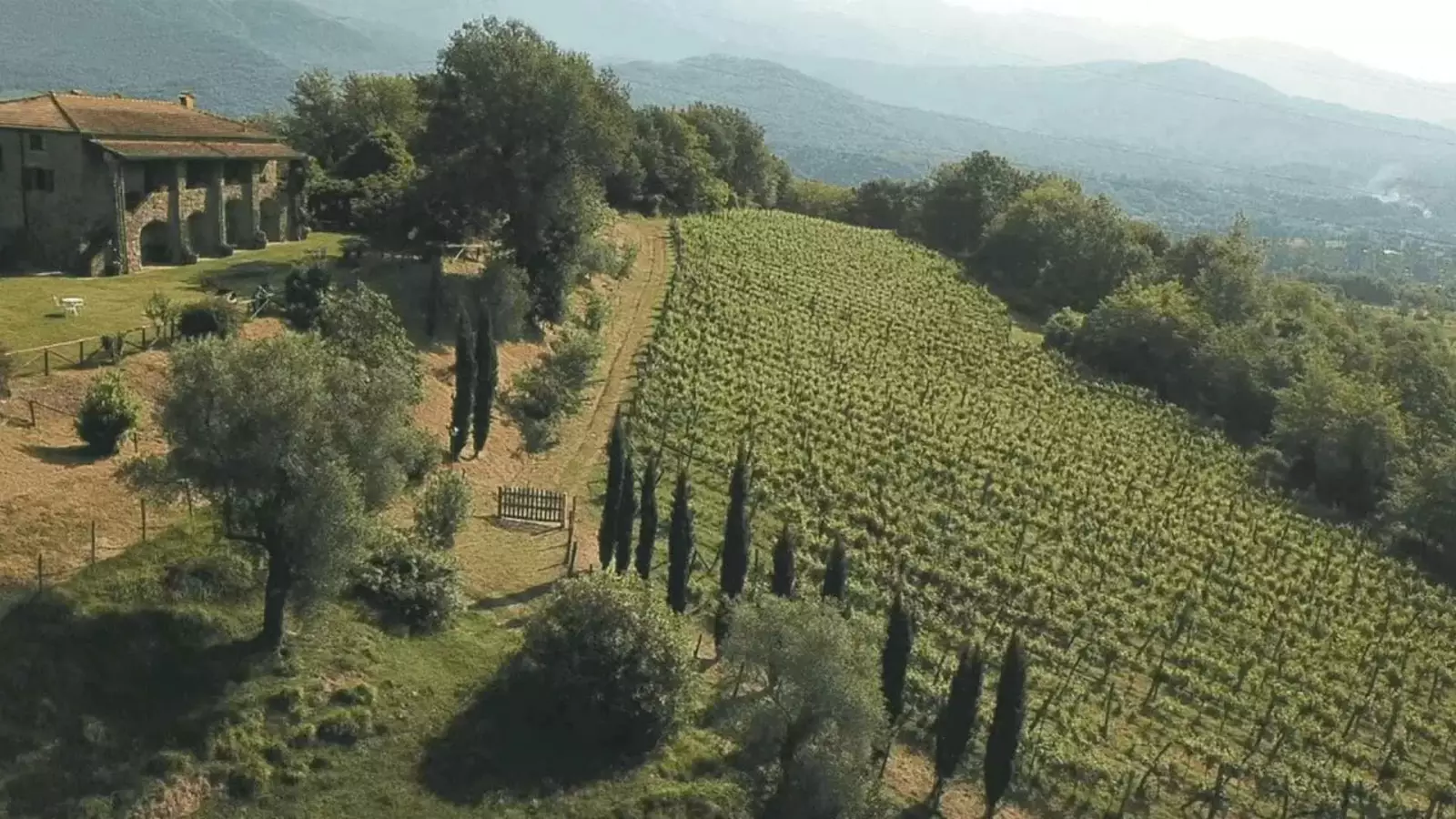 Podere Fedespina – Immagine 1