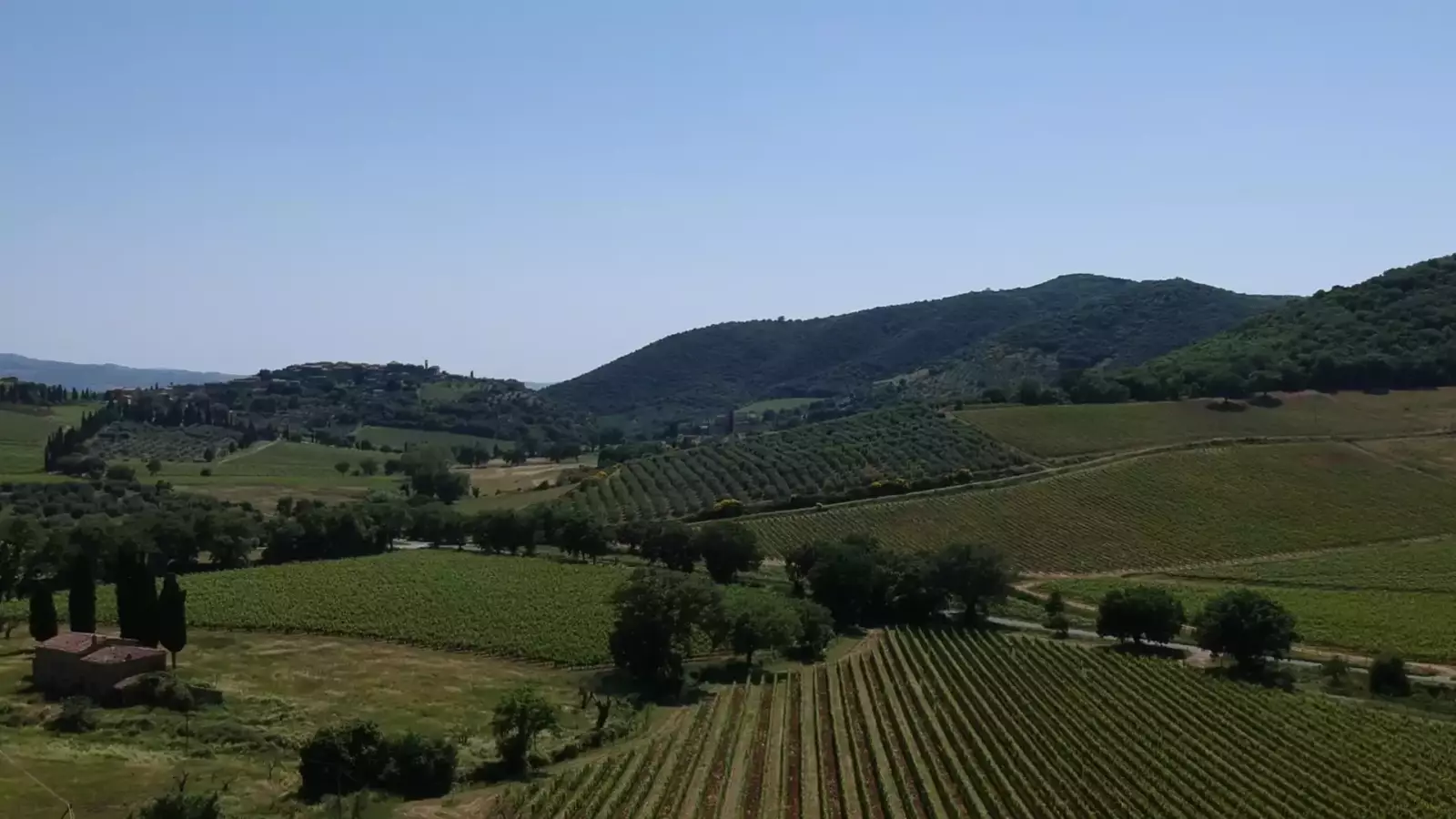 I Vini de La Poderina – Immagine 2