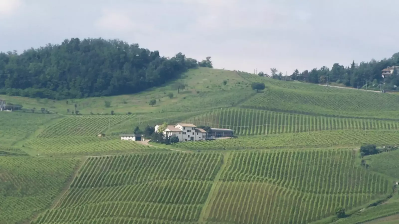 La Piotta – Bild 1
