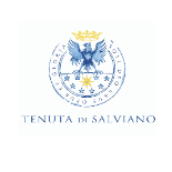 Logo cantina Tenuta di Salviano 