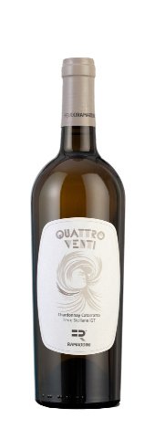 Immagine vino quattroventi igt terre siciliane chardonnay - catarratto