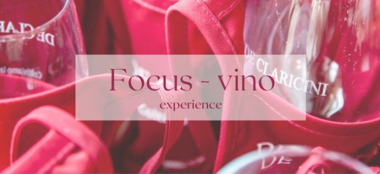 Immagine paesaggio tipovisita Focus - vino