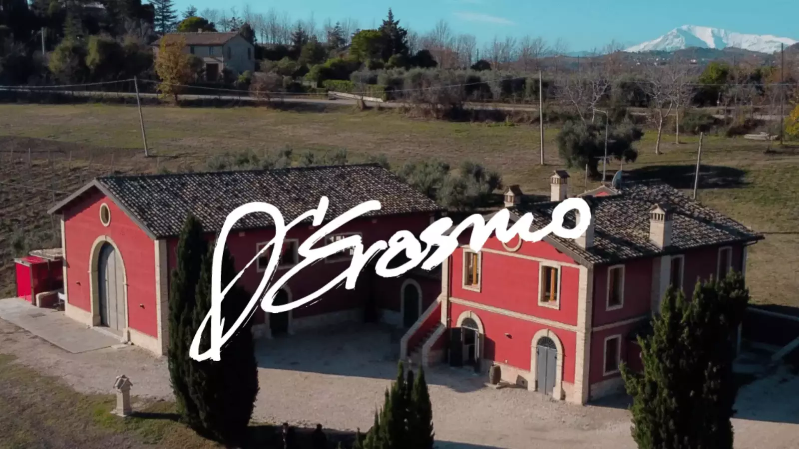 Degustazione Guidata – Immagine 2