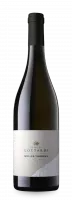 MÜLLER THURGAU TRENTINO DOC 0.75 MÜLLER THURGAU TRENTINO DOC 0.75