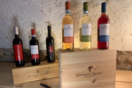 Immagine pacchetto i sei vini di giovanna tantini