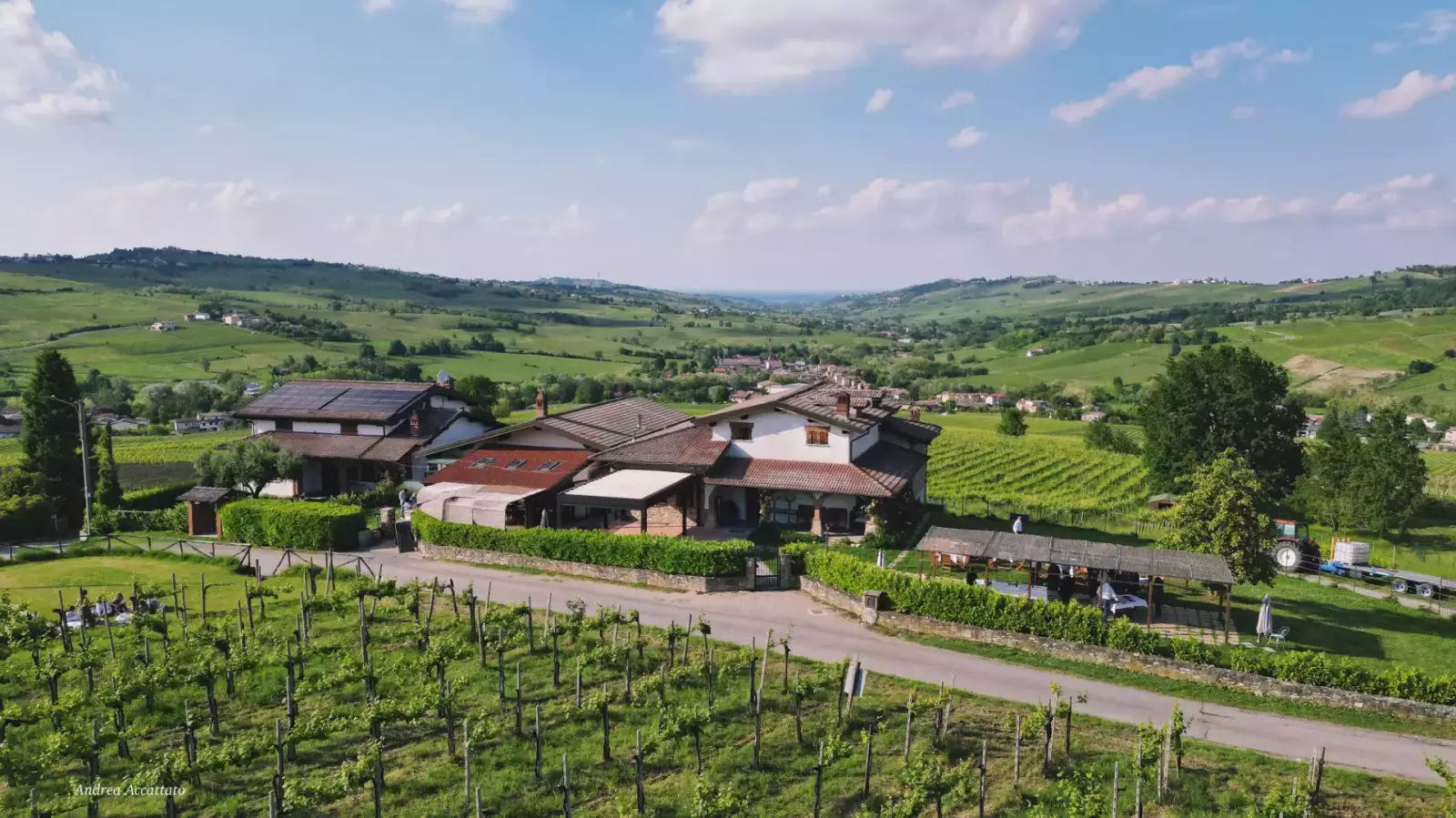 Visita Guidata - Degustazione 4 Vini – Immagine 3