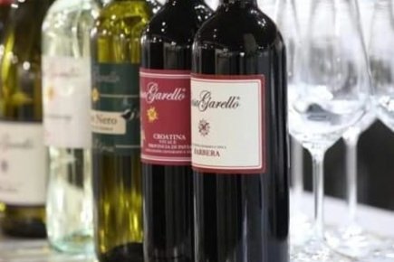 Immagine Wine box Garello