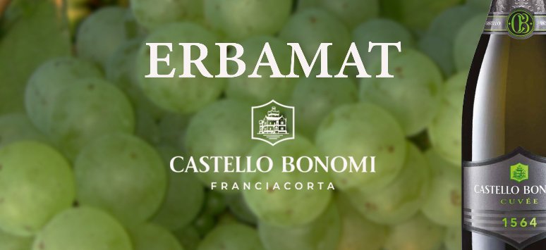 Immagine paesaggio tipovisita Degustazione Erbamat a Castello Bonomi