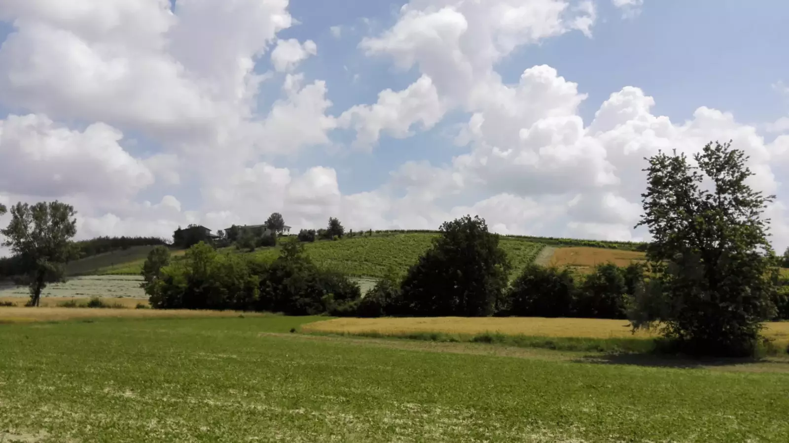 Picnic in vigna – Immagine 2