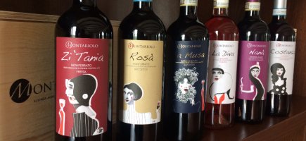 Immagine visita Degustazione guidata dei vini Montariolo