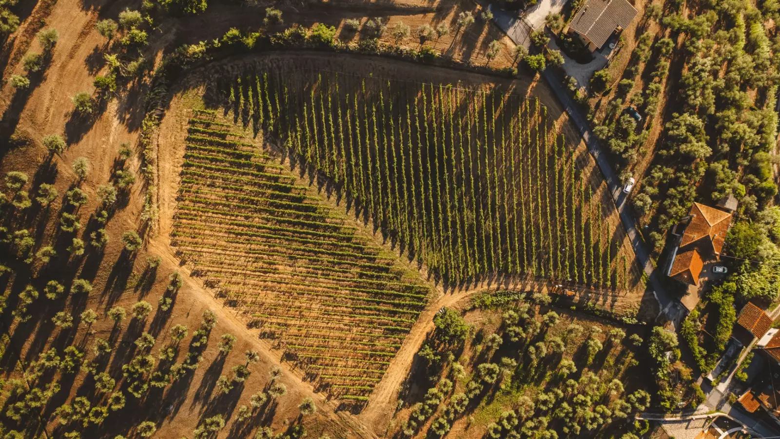 Tenuta Querciamatta – Immagine 1