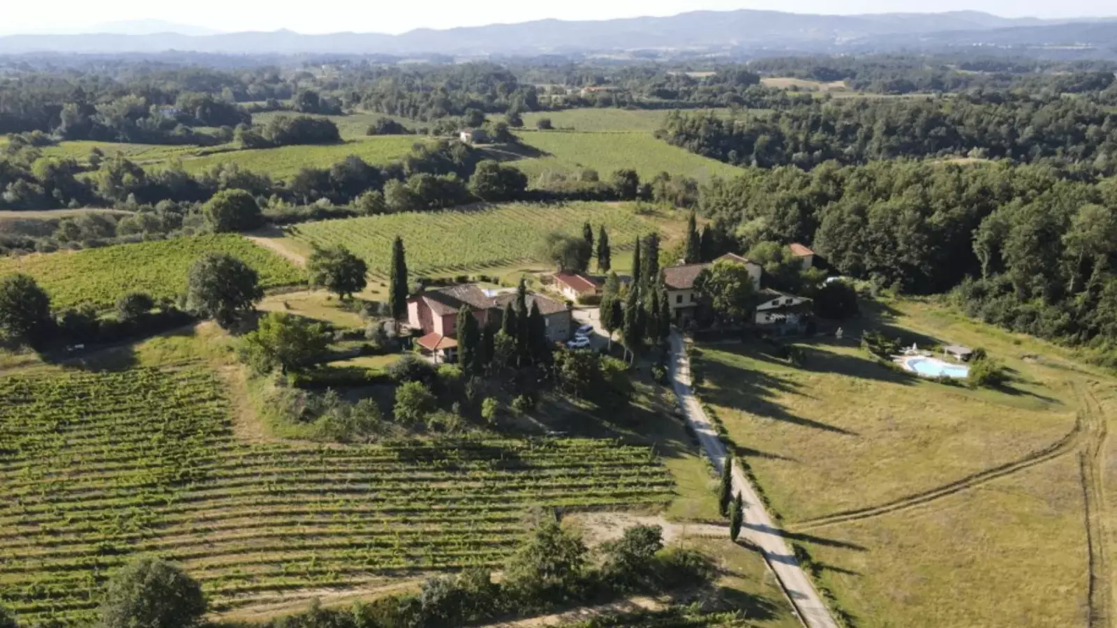 Theme Tasting – Image 2