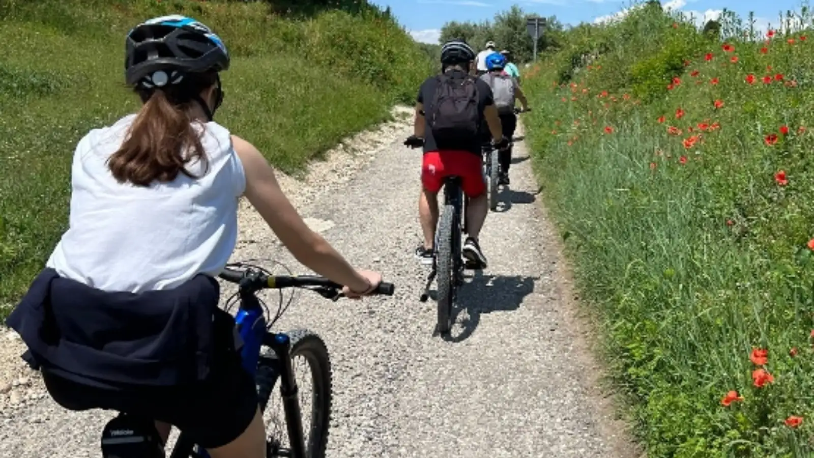 BIKE TOUR IN THE VINEYARDS AND TASTING IN THE CELLAR – Image 2